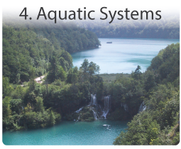 Aquatic Food Production Systems